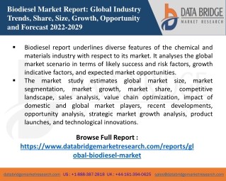 Biodiesel Market