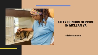 Kitty Condos Service in McLean VA