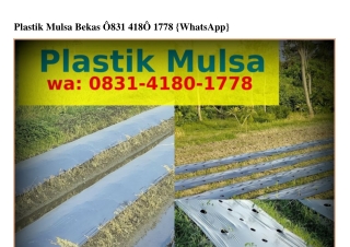 Plastik Mulsa Bekas Ô8ᣮI.4I8Ô.I778(WA)