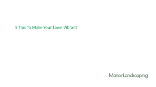 Get the Best Landscape services through Marion landscaping
