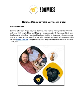 Zoomies Doggy Daycare Online Presentations Channel