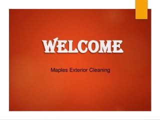 Best Service for Patio Cleaning in Totternhoe