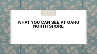 What You Can See at Oahu North Shore