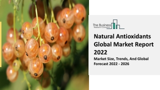 Global Natural Antioxidants Market Competitive Strategies And Forecasts To 2031