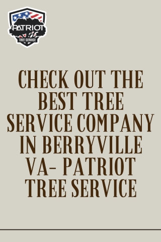 Check Out The Best Tree Service Company in Berryville VA- Patriot Tree Service