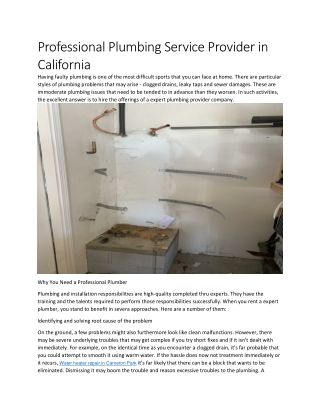 Professional Plumbing Service Provider in California
