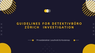 Guidelines for DetektivbüRo ZüRich  Investigation