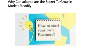 Why Consultants are the Secret To Grow in Market Steadily