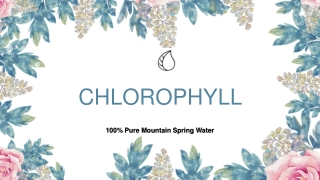 benefits of drinking chlorophyll