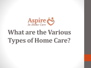 What are the Various Types of Home Care