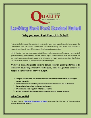 Looking Best Pest Control Dubai