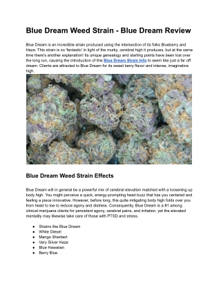 Blue Dream Weed Strain - Blue Dream Review