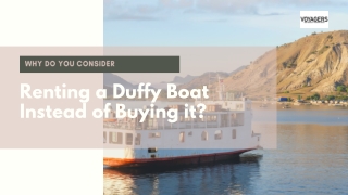 Why do you Consider Renting a Duffy Boat Instead of Buying it