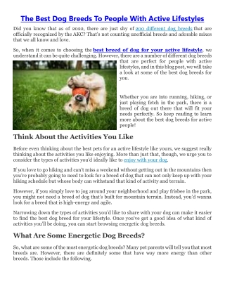 Best Dog Breeds For People With Active Lifestyles
