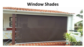 Window Shades