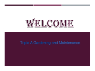 Best Service for Garden Maintenance in Ditton