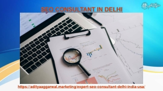 who is one of the best seo consultant in delhi?