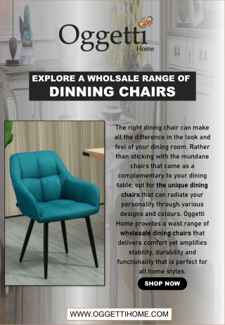 Explore a Wholesale Range of Dining Chairs