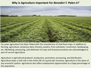 Why Is Agriculture Important For Benedict T. Palen Jr?