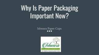 Why Is Paper Packaging Important Now