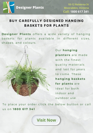 Buy carefully designed hanging baskets for plants