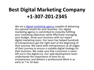 Best Digital Marketing Company  1-307-201-2345