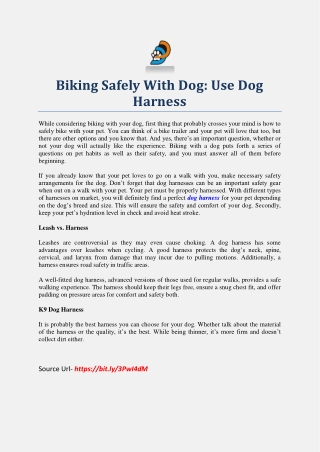 Biking Safely With Dog: Use Dog Harness