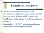 Bacterias en todas partes