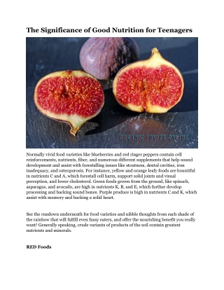 The Significance of Good Nutrition for Teenagers