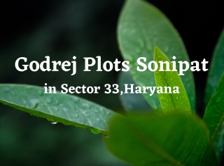 Godrej Plots Sector 33 Sonipat Haryana- Brochure