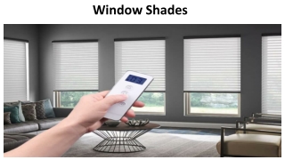 Window Shades