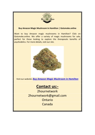 Buy Amazon Magic Mushroom In Hamilton | Gotsmoke.online