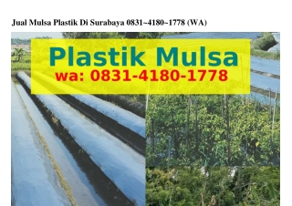 Jual Mulsa Plastik Di Surabaya Ô831.Ꮞ18Ô.1778{WA}