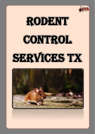 Rodent Control Services TX