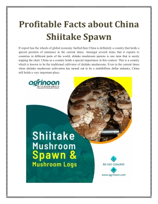 Profitable Facts about China Shiitake Spawn