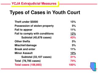 Types of Cases in Youth Court