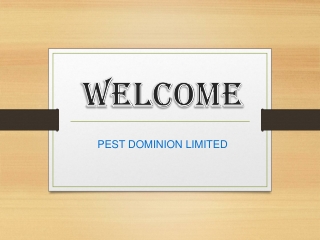 Specialist  in Rodents Removal in George Green
