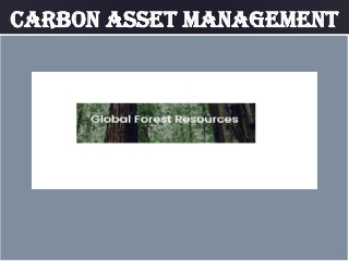 Carbon Asset Management PPT
