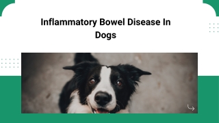 Inflammatory Bowel Disease InDogs