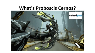 What's Proboscis Cernos