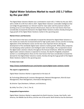 Digital Water Solutions Market