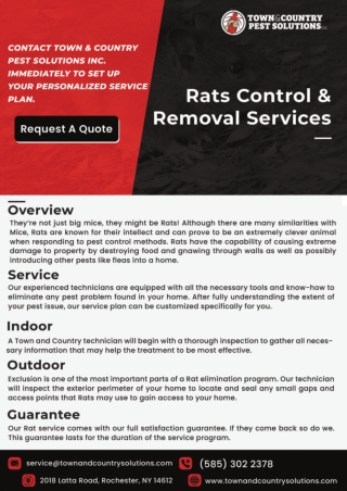 rats control rochester | Mouse control Buffalo