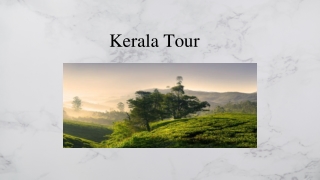 Kerala Tour Packages at Great Deals