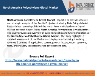 North America Polyethylene Glycol Market Size