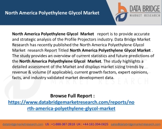 North America Polyethylene Glycol market Trend