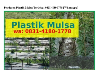 Produsen Plastik Mulsa TerdekatProdusen Plastik Mulsa Terdekat Ö8౩I–ԿI8Ö–I778{Wh