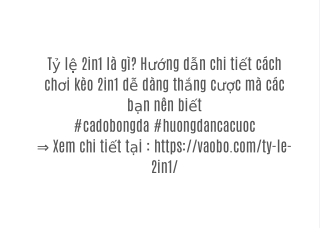 Tỷ lệ 2in1 là gì? Hướng dẫn chi tiết cách chơi kèo 2in1 dễ dàng thắng cược