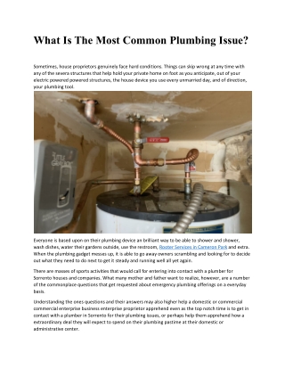 What Is The Most Common Plumbing Issue
