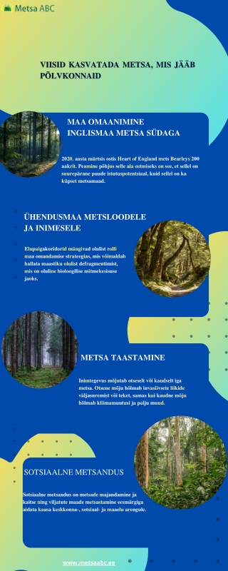 VIISID KASVATADA METSA, MIS JÄÄB PÕLVKONNAID