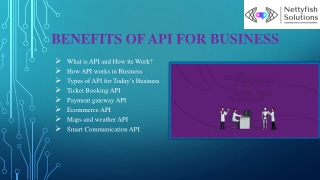 Importance of API-Nettyfish Solutions